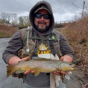 Meet your Posher, Wolfgang